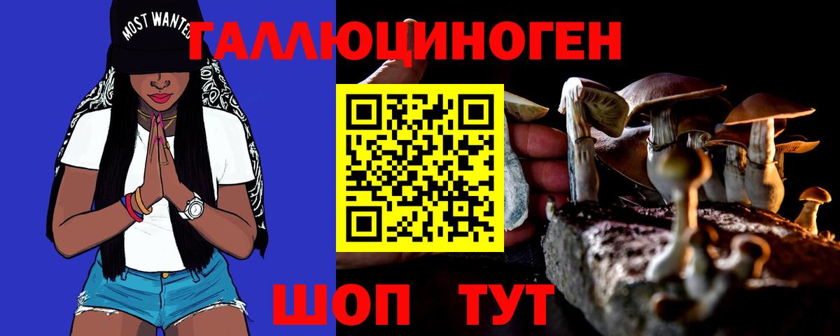 Псилоцибиновые грибы мицелий Скопин